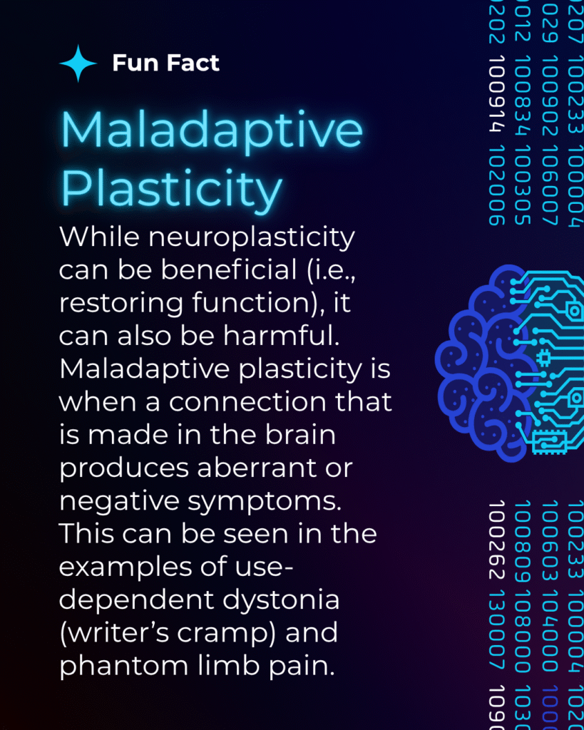 5-intriguing-facts-about-neuroplasticity