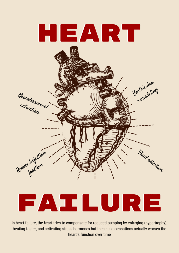 ai-devices-as-an-investment-in-cardiac-rehabilitation