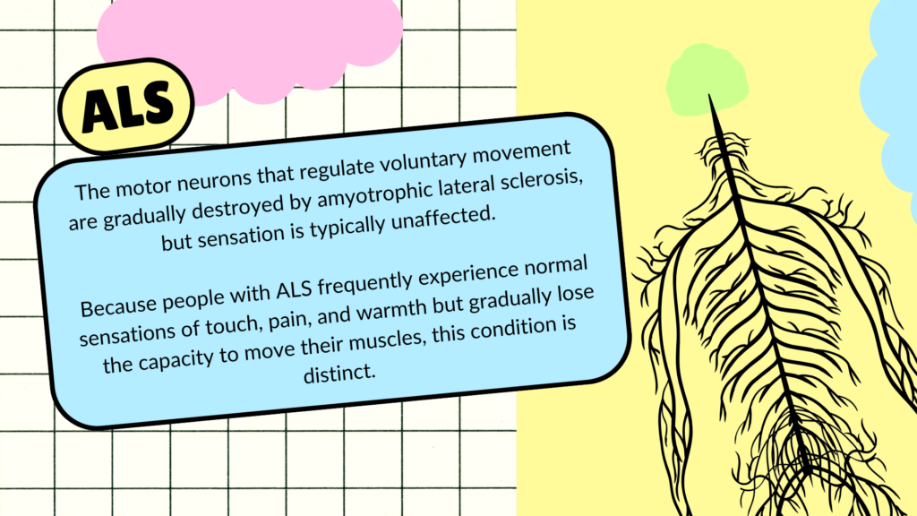 als-vs-spinal-cord-injury-physiotherapy-differences