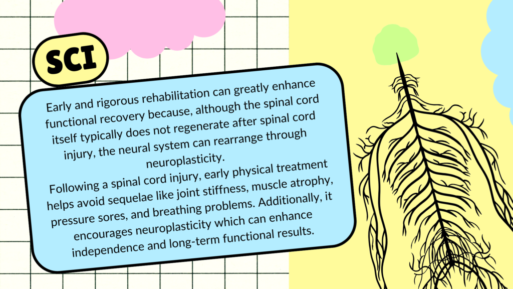 als-vs-spinal-cord-injury-physiotherapy-differences