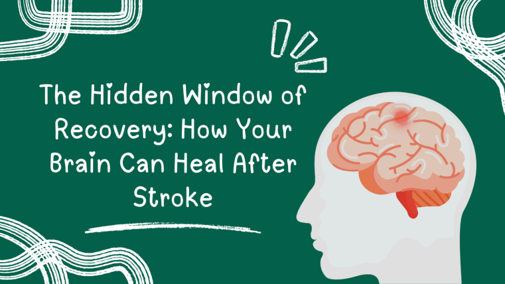 stroke-rehabilitation:-a-complete-physiotherapy-guide-to-assessment-diagnosis-&-recovery